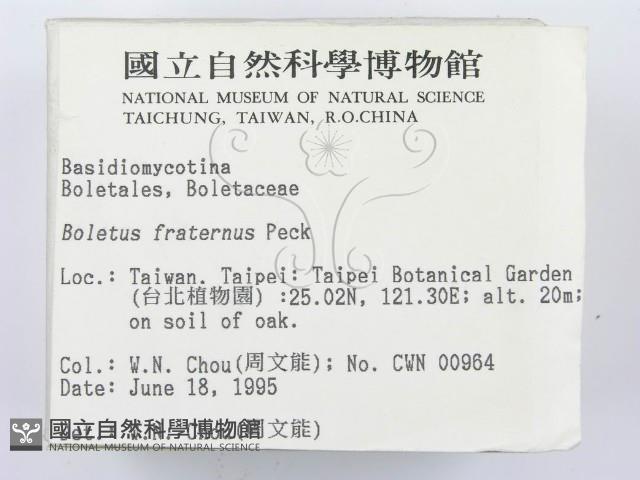 登錄號:F0003401藏品圖，第2張