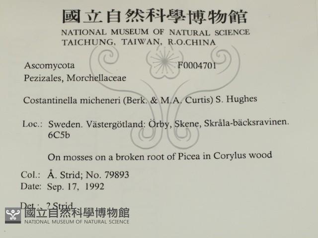 登錄號:F0004701藏品圖，第2張