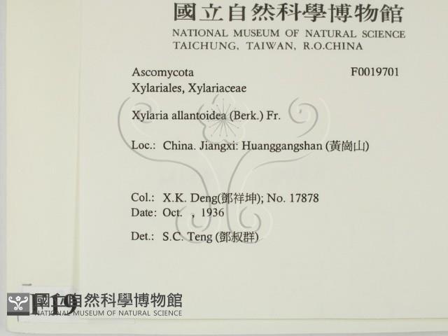 登錄號:F0019701藏品圖，第2張
