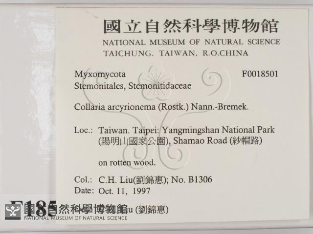 登錄號:F0018501藏品圖，第2張