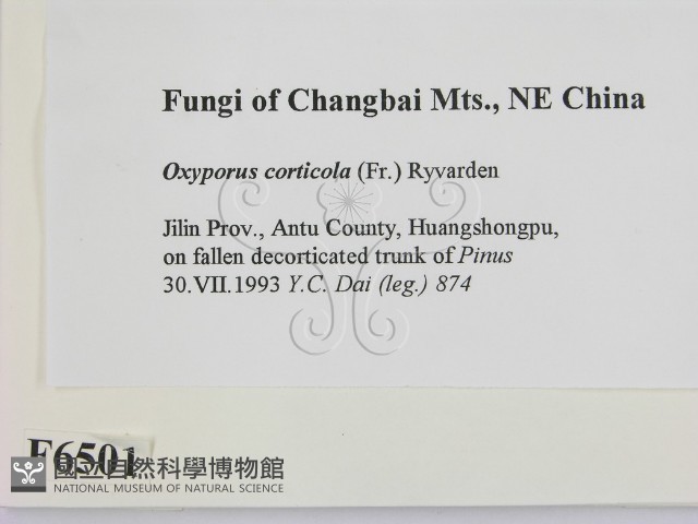 登錄號:F0006501藏品圖，第2張