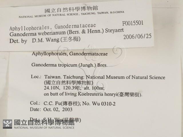 登錄號:F0015501藏品圖，第2張