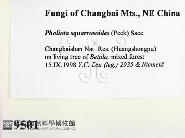 登錄號:F0009501藏品圖，第2張