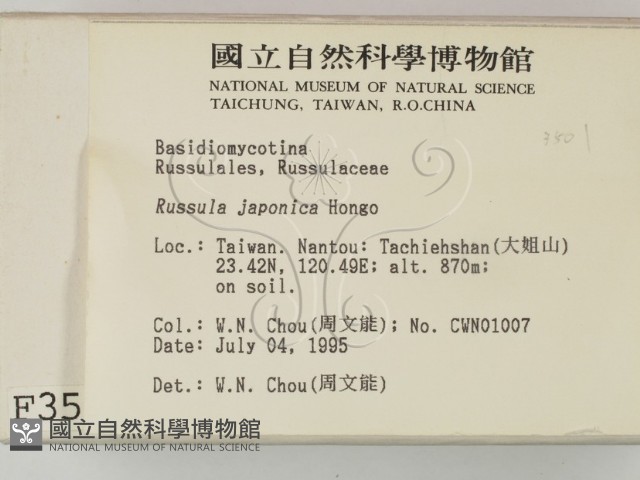 登錄號:F0003501藏品圖，第2張