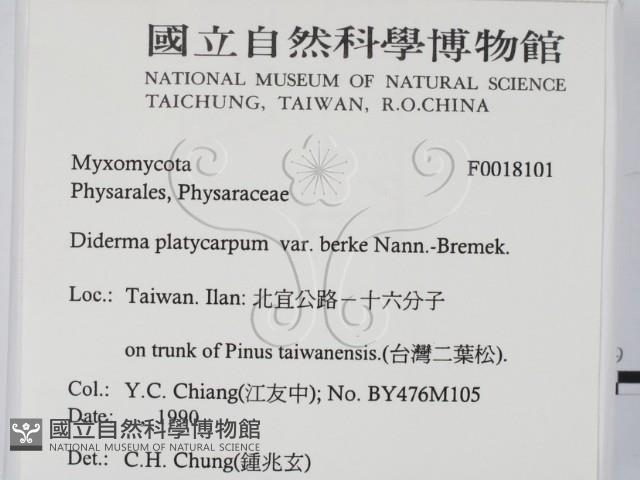 登錄號:F0018101藏品圖，第2張