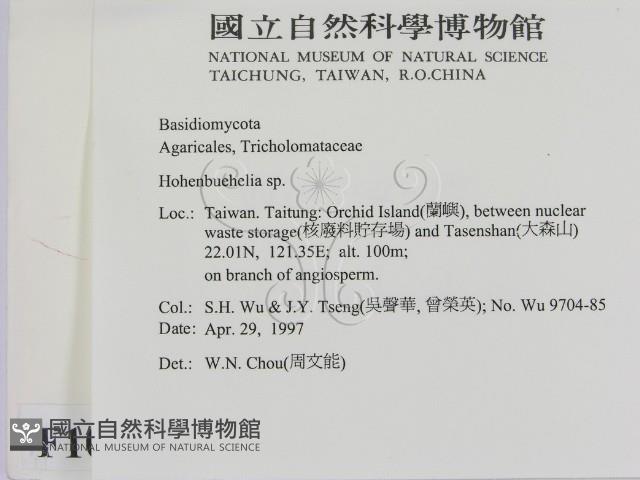 登錄號:F0010101藏品圖，第2張