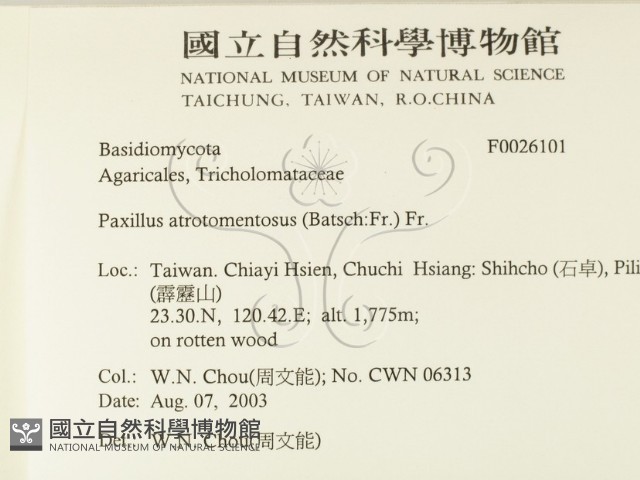 登錄號:F0026101藏品圖，第2張