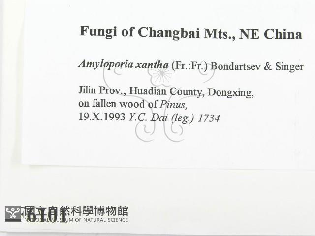 登錄號:F0006101藏品圖，第2張