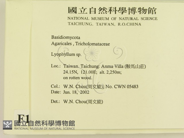 登錄號:F0016101藏品圖，第2張