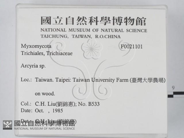 登錄號:F0021101藏品圖，第2張