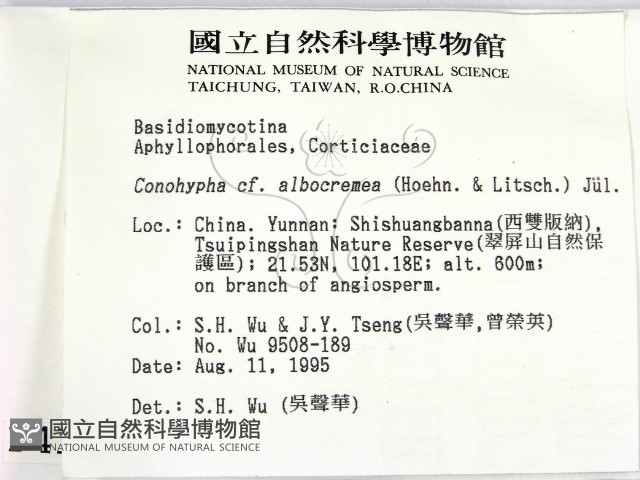 登錄號:F0004101藏品圖，第2張