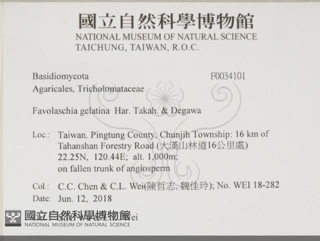 登錄號:F0034101藏品圖，第2張