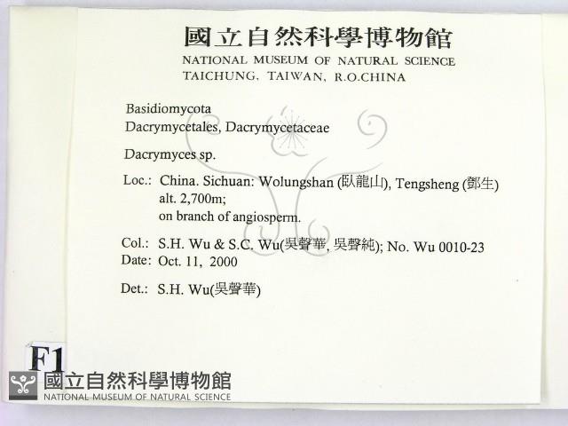 花耳屬藏品圖，第2張