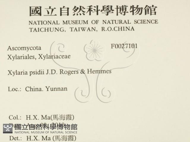 登錄號:F0027101藏品圖，第2張