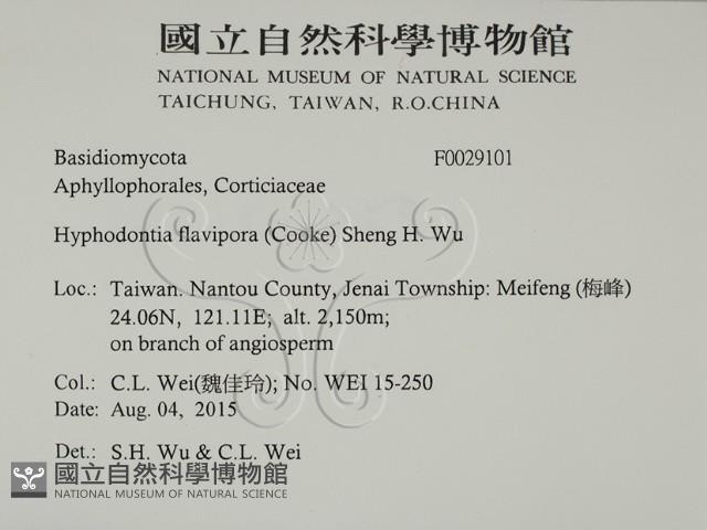 登錄號:F0029101藏品圖，第2張