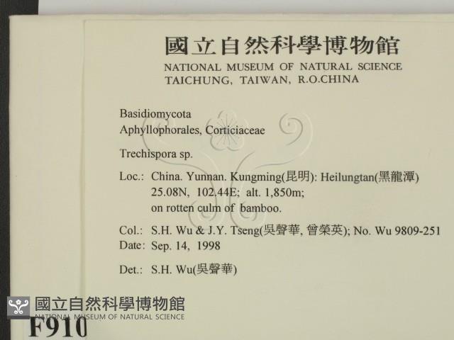 登錄號:F0009101藏品圖，第2張