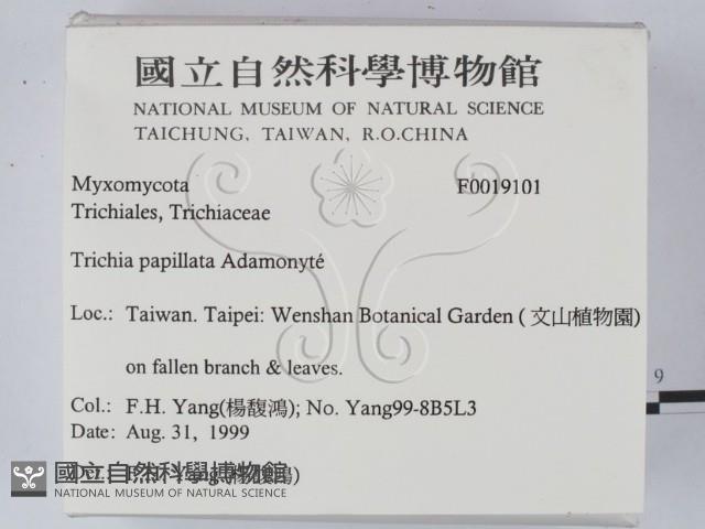 登錄號:F0019101藏品圖，第2張