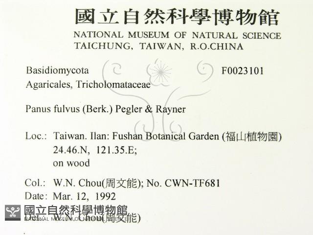 登錄號:F0023101藏品圖，第2張