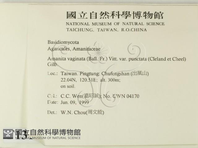 登錄號:F0013101藏品圖，第2張
