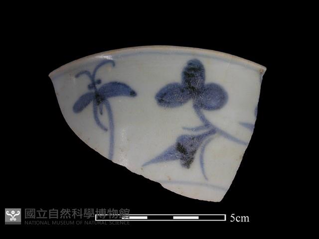 瓷片藏品圖，第1張