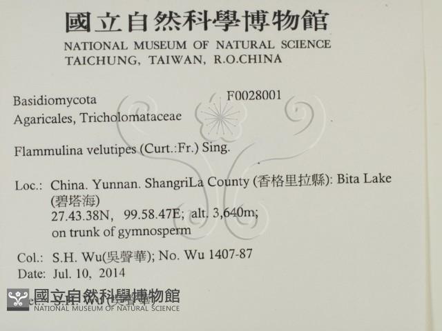 登錄號:F0028001藏品圖，第2張