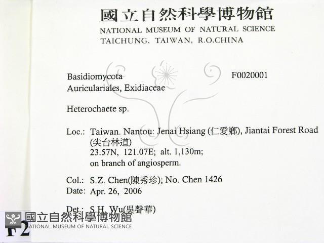 刺皮菌屬藏品圖，第2張