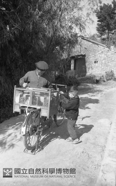 1950至2006年臺灣常民生活藏品圖，第1張
