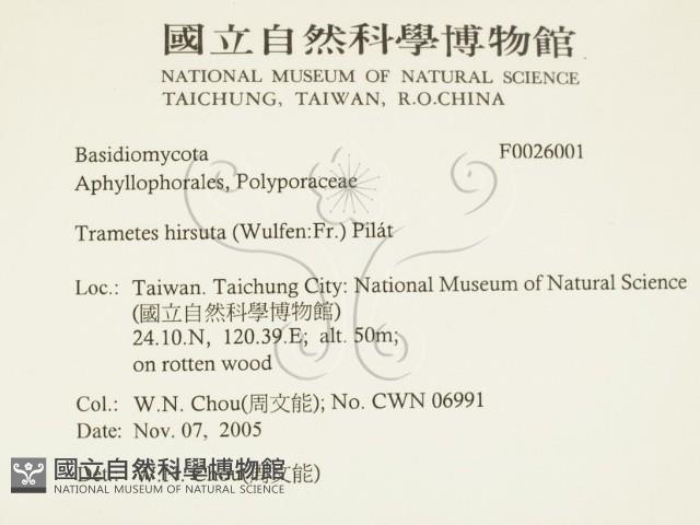 登錄號:F0026001藏品圖，第2張