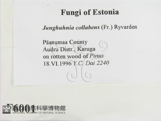 登錄號:F0006001藏品圖，第2張