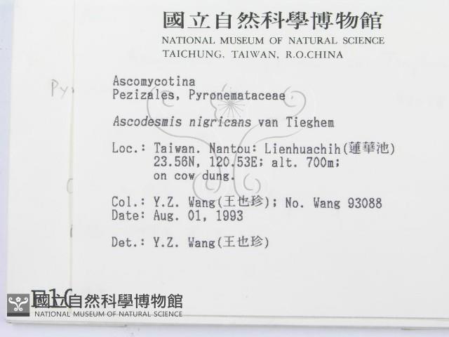 登錄號:F0001001藏品圖，第2張