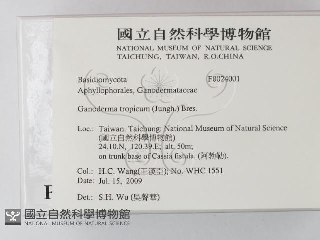 登錄號:F0024001藏品圖，第2張