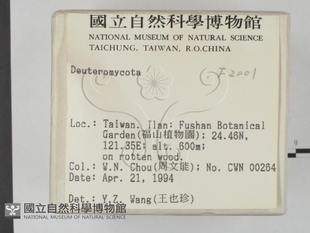 登錄號:F0002001藏品圖，第2張