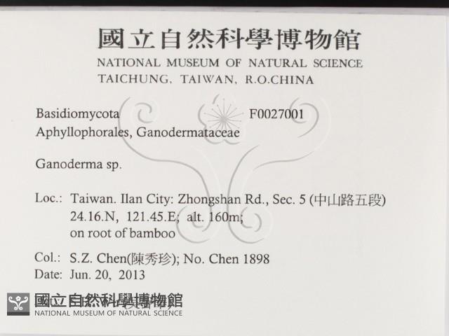 登錄號:F0027001藏品圖，第2張