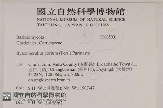 登錄號:F0035001藏品圖，第2張