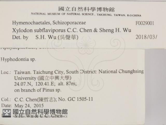 登錄號:F0029001藏品圖，第2張
