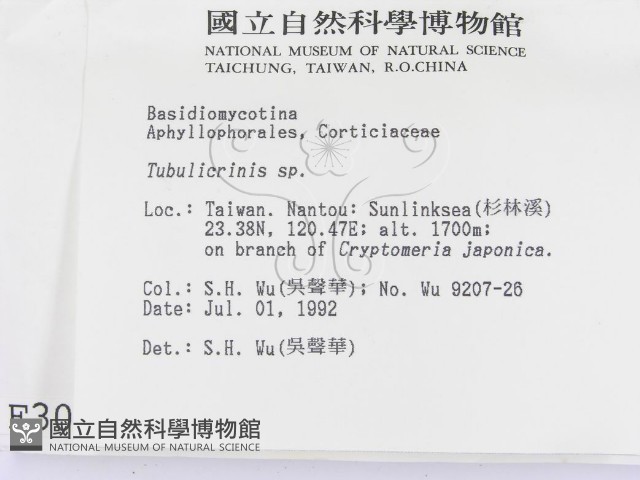 登錄號:F0003001藏品圖，第2張