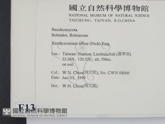 登錄號:F0013001藏品圖，第2張