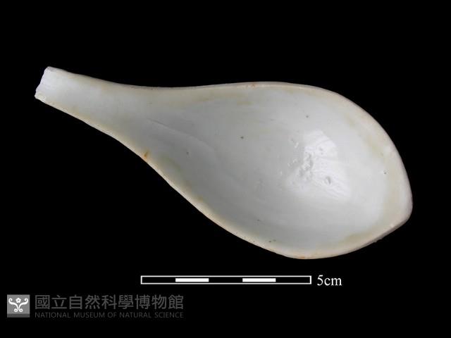 湯匙藏品圖，第1張