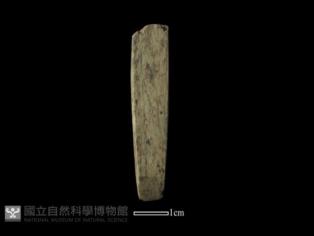 錛鑿形器藏品圖，第2張