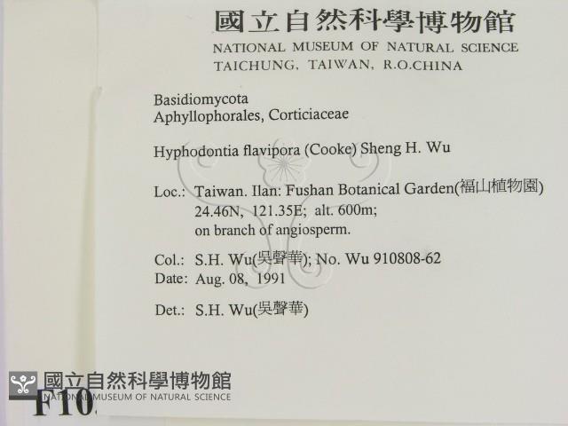 登錄號:F0010301藏品圖，第2張