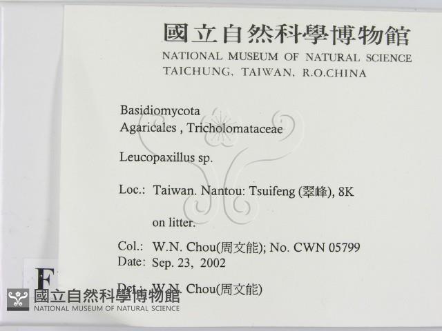 登錄號:F0016301藏品圖，第2張
