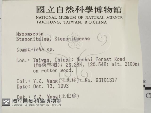 登錄號:F0001301藏品圖，第2張