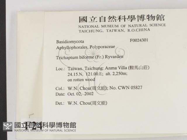 登錄號:F0024301藏品圖，第2張