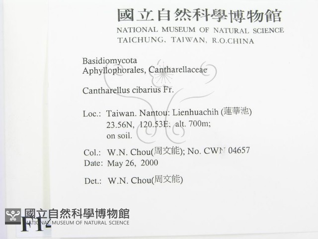 登錄號:F0014301藏品圖，第2張