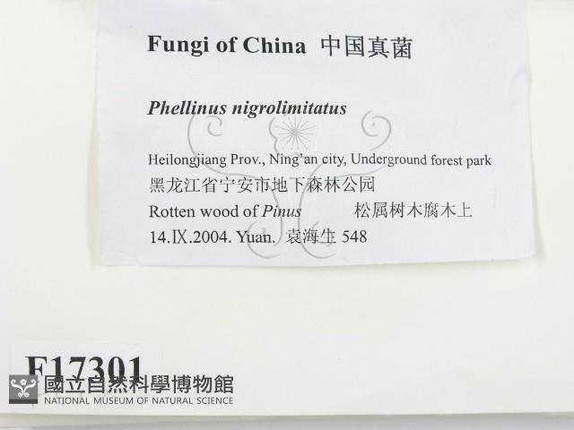 登錄號:F0017301藏品圖，第2張