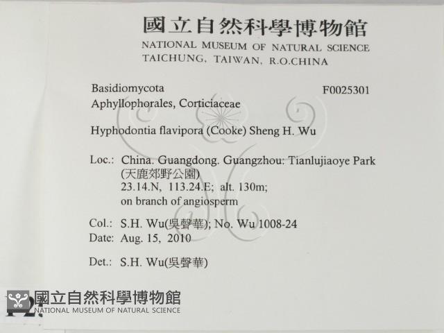 登錄號:F0025301藏品圖，第2張