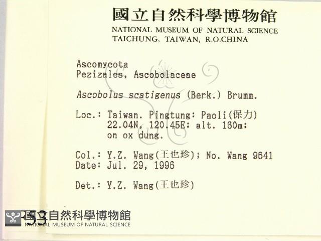 登錄號:F0005301藏品圖，第2張