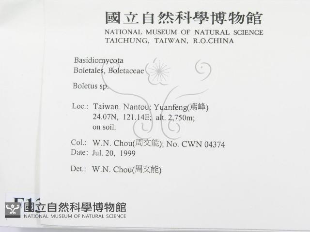 登錄號:F0013301藏品圖，第2張