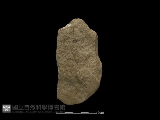 斧鋤形器藏品圖，第2張