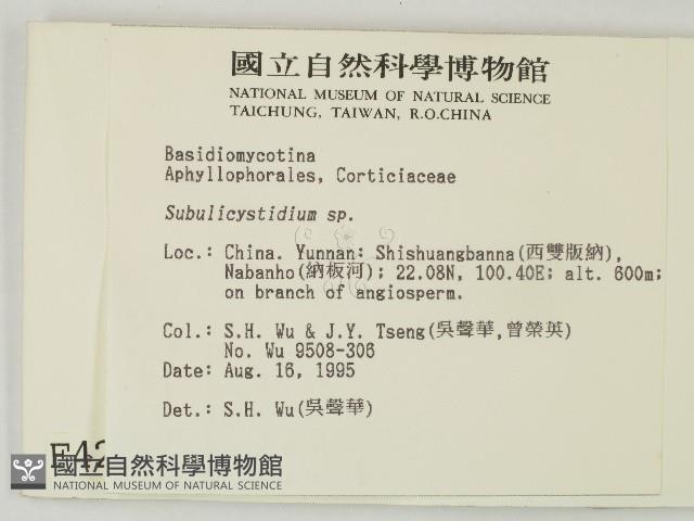 登錄號:F0004211藏品圖，第2張